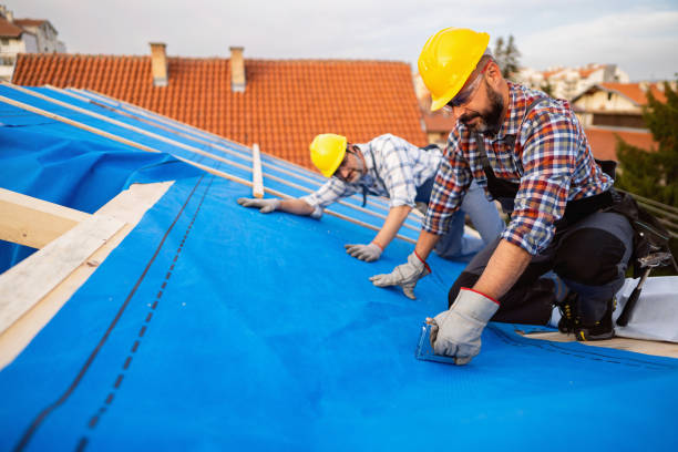 Best Roof Moss and Algae Removal  in Rossford, OH