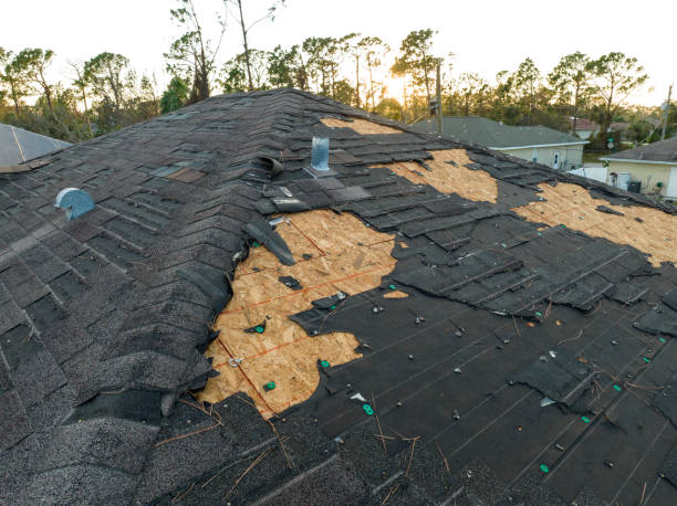Best Wood Shake Roofing  in Rossford, OH