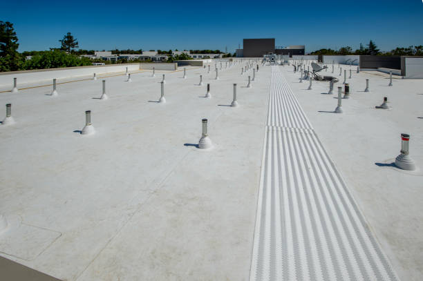 Best 4 Ply Roofing  in Rossford, OH